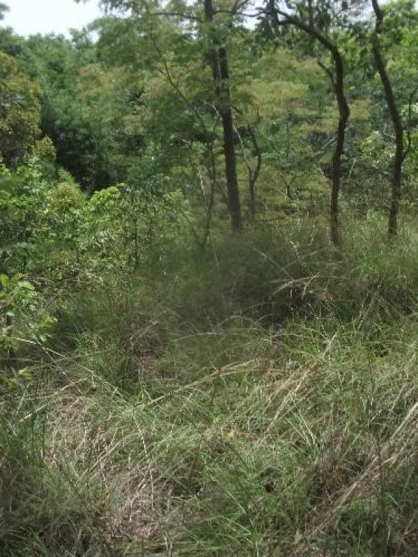 Ruisseau large et profond